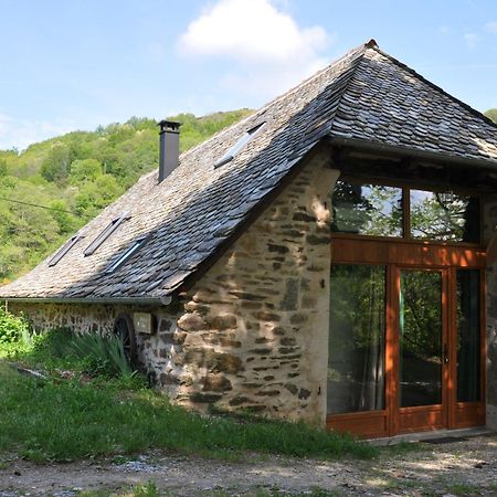 Gite Le Couderc De Coubisou, Grange Renovee Exteriér fotografie