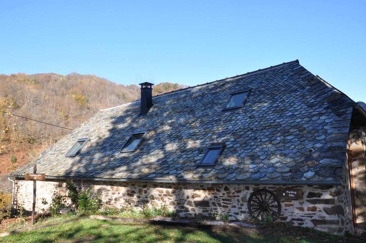 Gite Le Couderc De Coubisou, Grange Renovee Exteriér fotografie